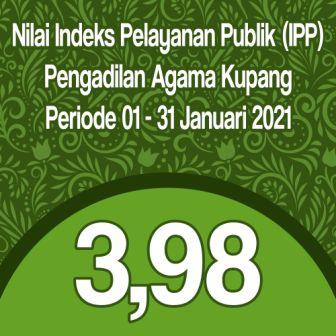 ippjan21